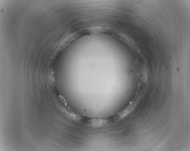 X0000078230766200611171433