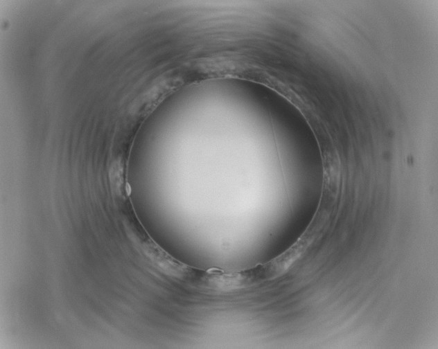 X0000078230767200611171433