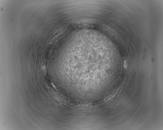 X0000078230771200611171433