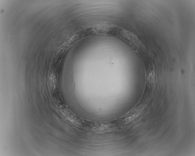 X0000078230772200611171433