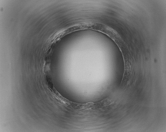 X0000078230773200611171433