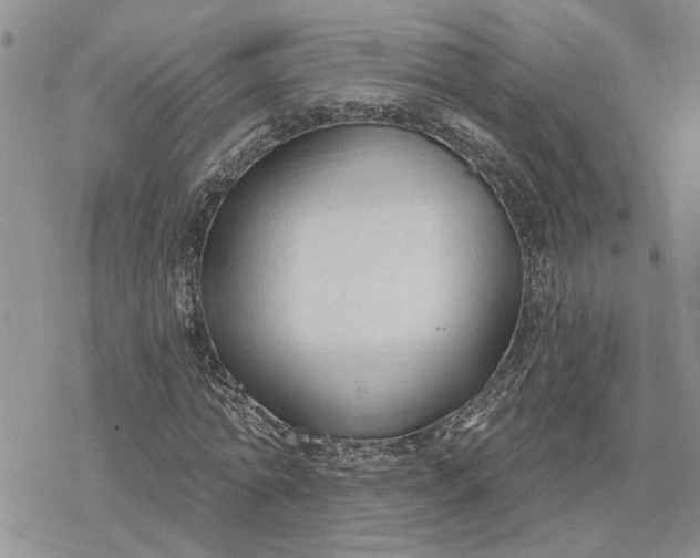 X0000078230774200611171433