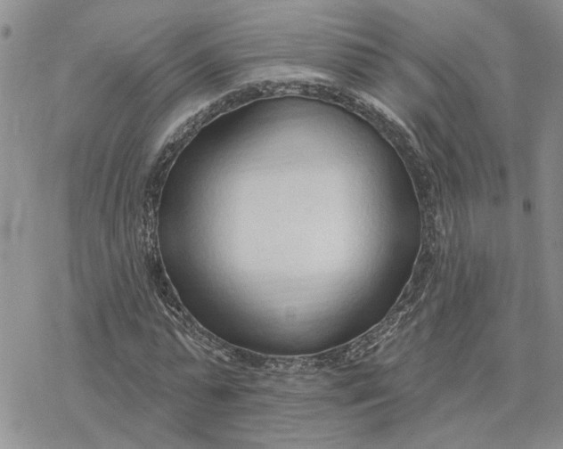 X0000078230775200611171433