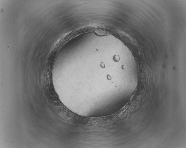 X0000078230776200611171433