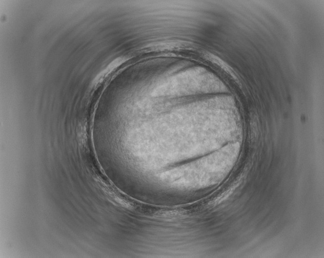 X0000078230778200611171432