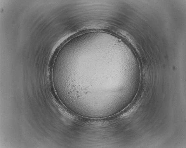 X0000078230779200611171432