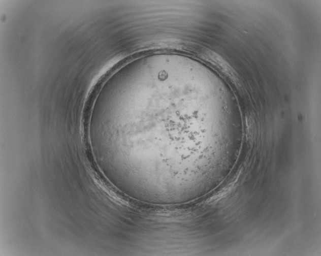 X0000078230780200611171432