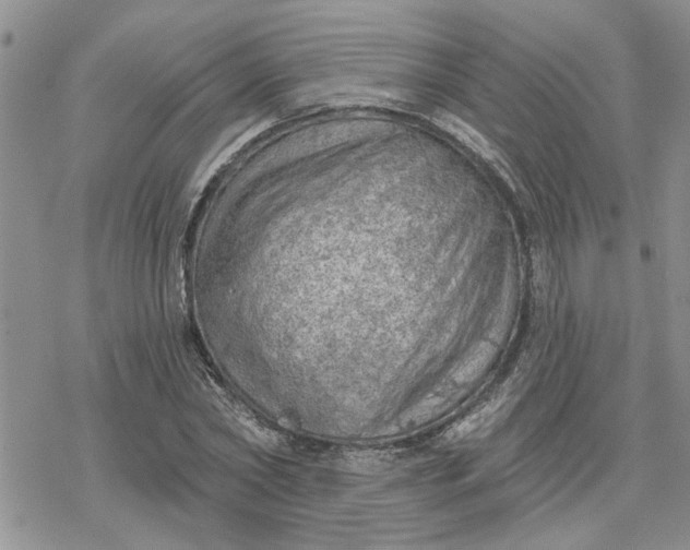 X0000078230782200611171432