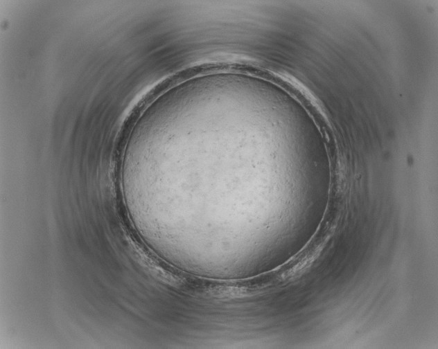 X0000078230783200611171432