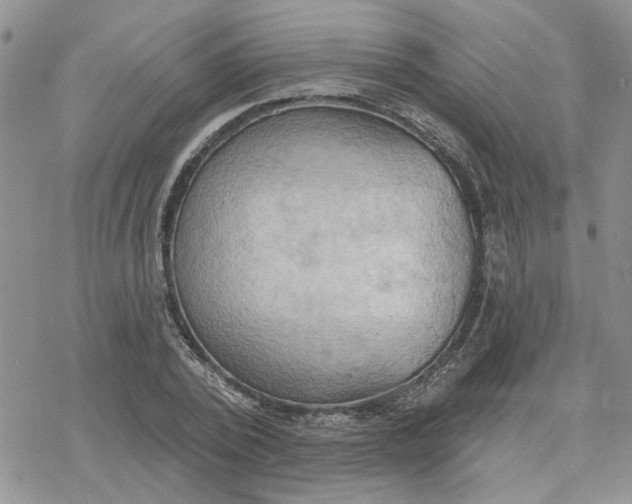 X0000078230784200611171432