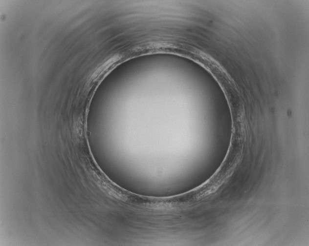 X0000078230785200611171432