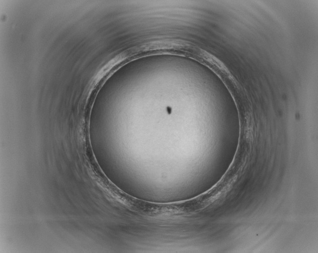 X0000078230786200611171432