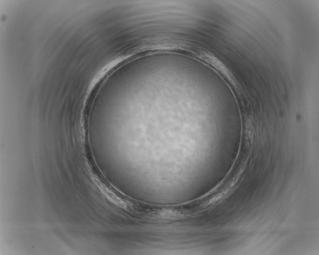 X0000078230787200611171432