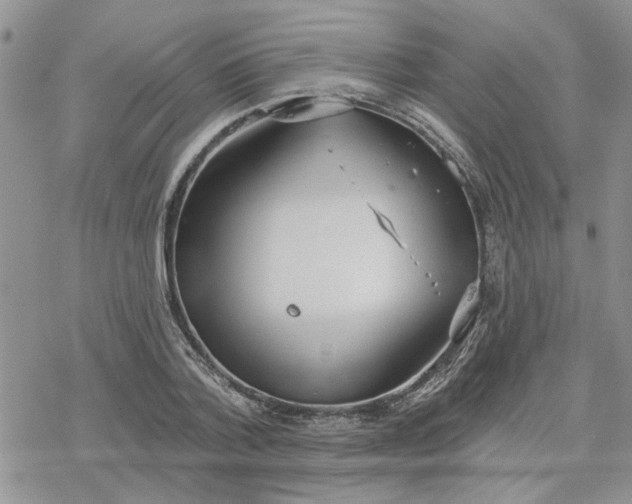 X0000078230788200611171432