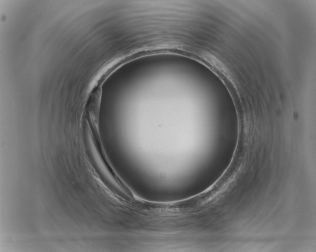 X0000078230789200611171432