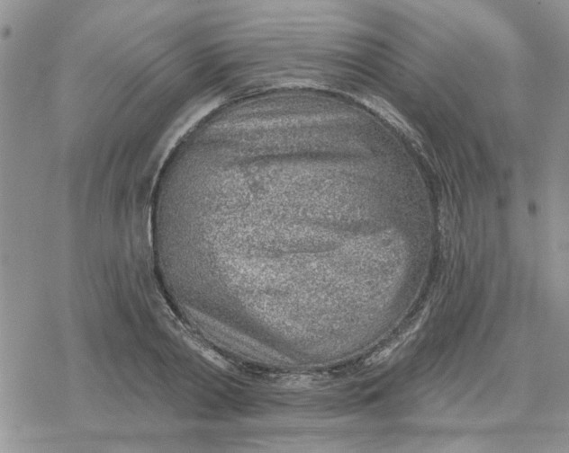 X0000078230790200611171432