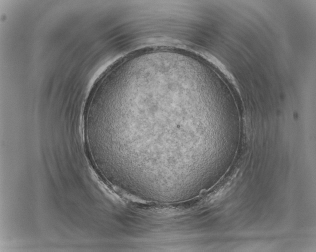 X0000078230791200611171432