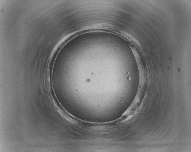 X0000078230792200611171432