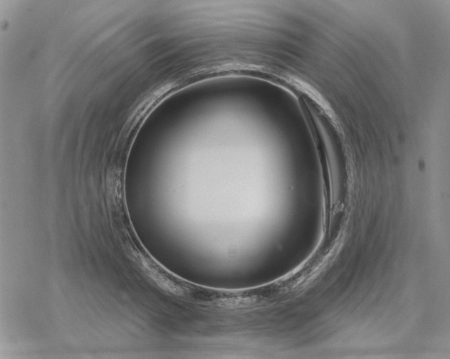 X0000078230793200611171432