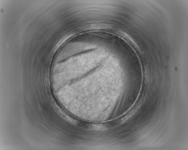 X0000078230794200611171432