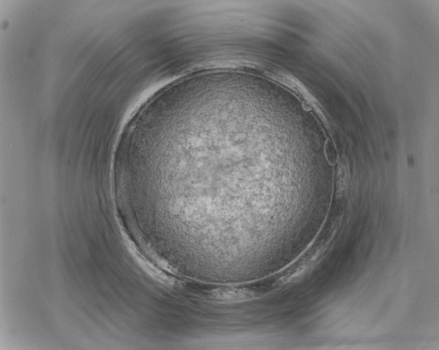 X0000078230795200611171432