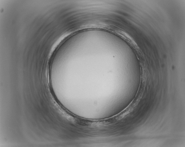 X0000078230796200611171432