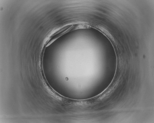 X0000078230797200611171432