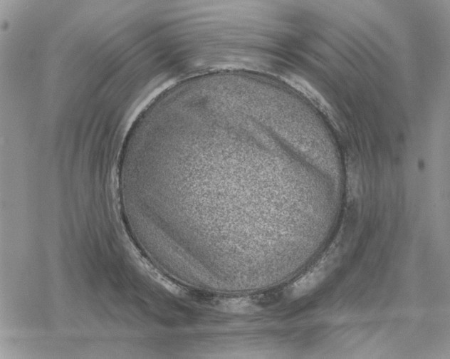 X0000078230798200611171432