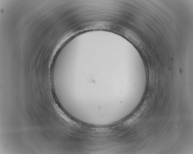 X0000078230800200611171432