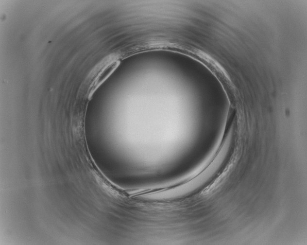 X0000078230801200611171432