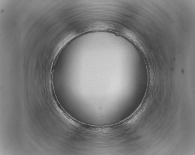 X0000078230802200611171432