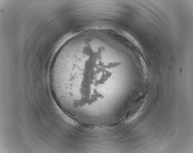 X0000078230803200611171432