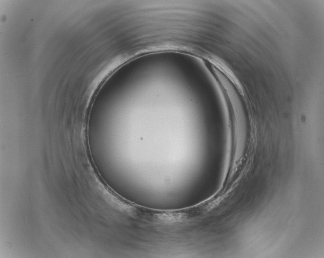 X0000078230805200611171432