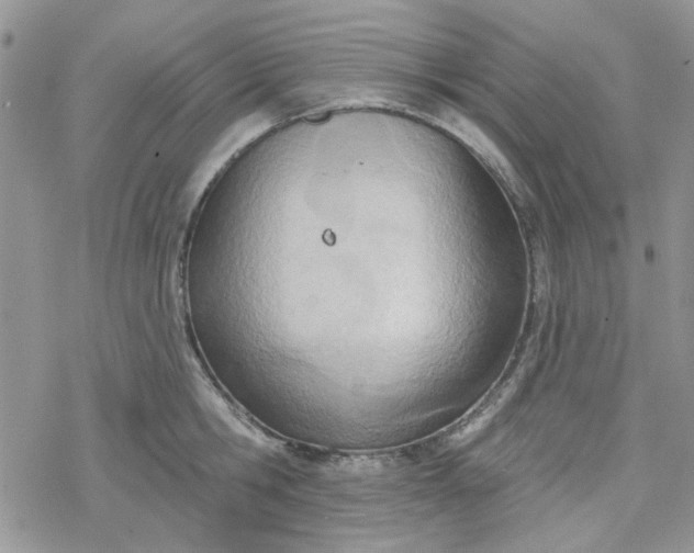 X0000078230806200611171432