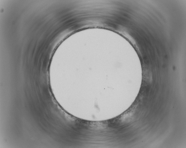 X0000078230807200611171432