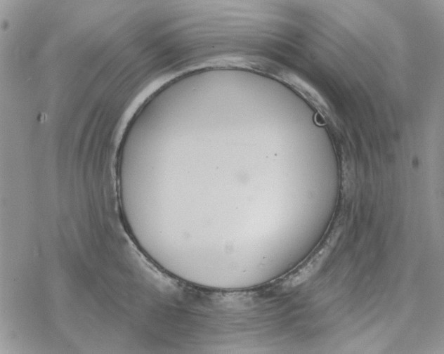 X0000078230808200611171432