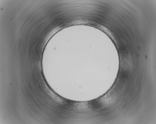 X0000078230810200611171432