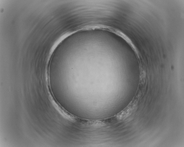 X0000078230811200611171432