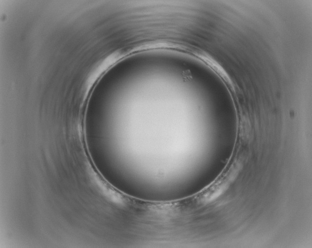 X0000078230813200611171432