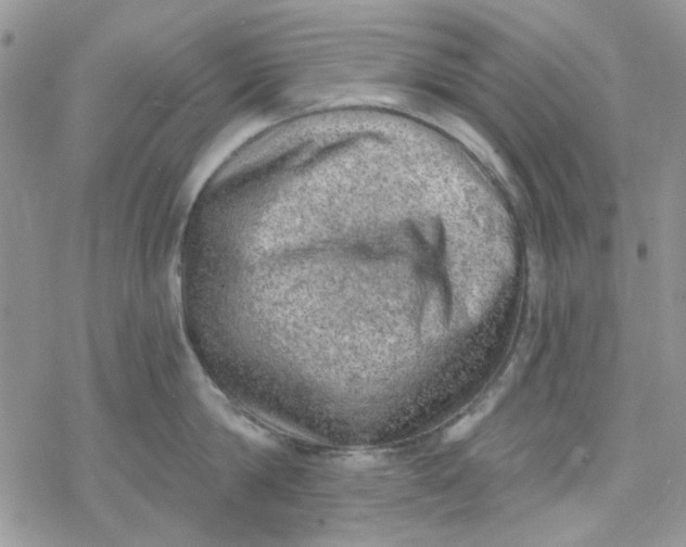 X0000078230814200611171432