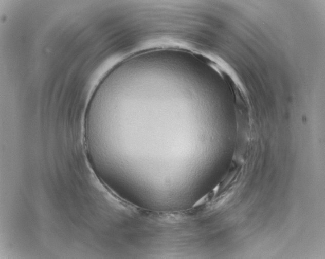 X0000078230815200611171432