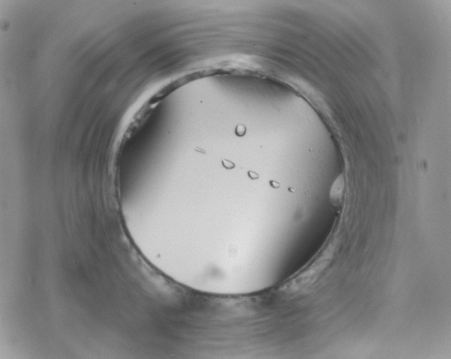 X0000078230816200611171432