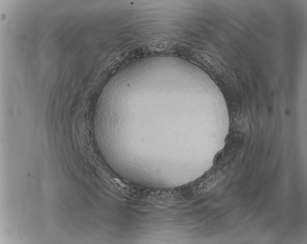 X0000078230817200611171431