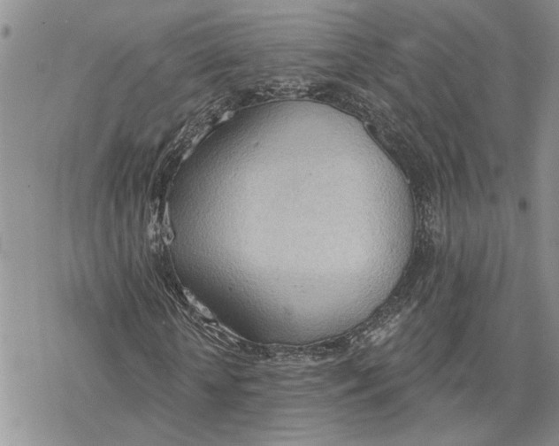 X0000078230818200611171431