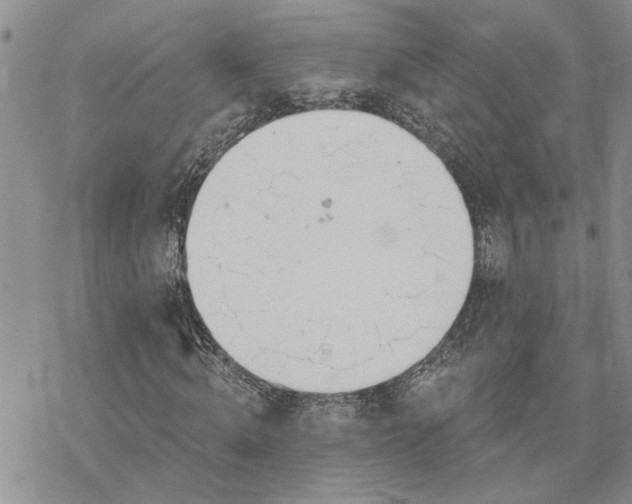 X0000078230820200611171431