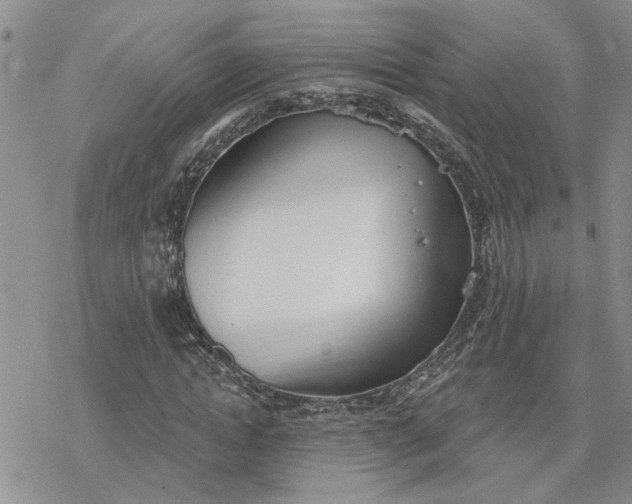 X0000078230822200611171431