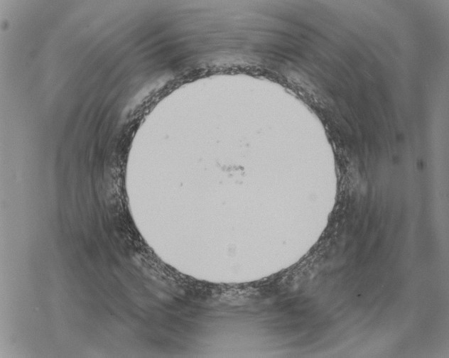 X0000078230824200611171431