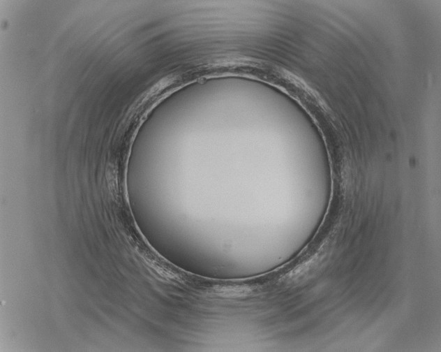 X0000078230825200611171431