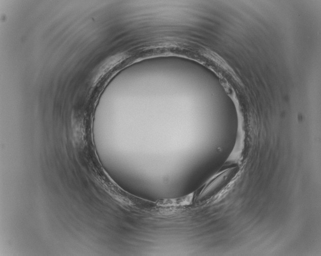 X0000078230826200611171431