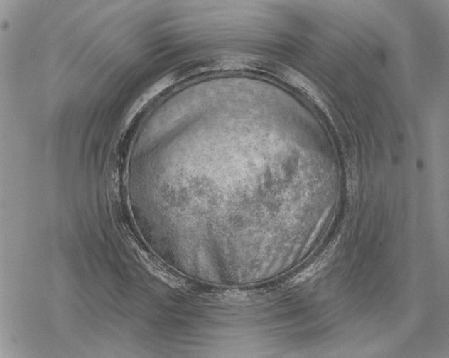 X0000078230827200611171431